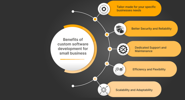 Benefits of Custom Software Solutions for Businesses