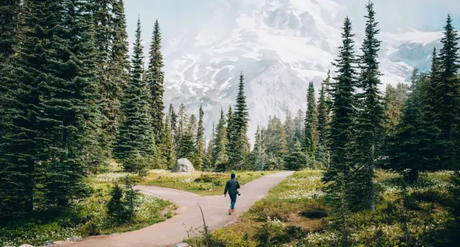 Affordable Solo Adventures in the Pacific Northwest