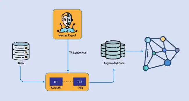 Data Preparation and Augmentation
